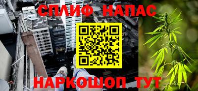 ешки Бийск